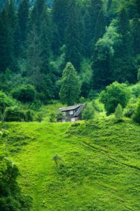 Best Residential Architect in Tarwa Amlori     is located in Siwan in Bihar, India